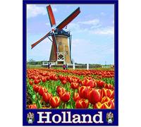 KTYWZ Plaque en métal Hollande Pays-Bas Moulin à vent Tulipes Européen Rétro Décor Art Signe Maison Cuisine Bar Café Club Cave Décoration Murale Vintage Voyage Plaque en Étain 15x30CM