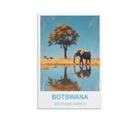 KTYWZ Plaque en métal vintage Botswana Afrique australe - Décoration murale humoristique - Décoration murale vintage pour cuisine, jardin, salle de bain, ferme, maison, café - Plaque en métal 30x30cm