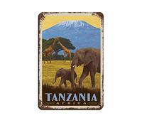 KTYWZ Plaque en métal vintage Tanzanie Afrique, panneau de voyage rétro, décoration murale pour maison, cuisine, bar, café, club, grotte, 20 x 30 cm
