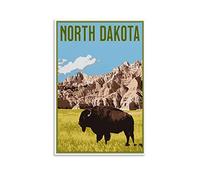 KTYWZ Plaque murale vintage en métal, affiche North Dakota Rocks, cuisine, bar, cadeau fantaisie, plaque décorative murale en aluminium, 20 x 30 cm