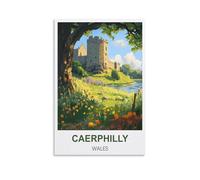 KTYWZ Plaque murale vintage rétro en métal, style Caerphilly, Pays de Galles, 20 x 30 cm, idéale pour la maison, l'atelier, un bar, un club, un restaurant ou un café.