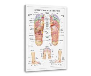 KUBAPIG Réflexologie des pieds - Diagramme d'anatomie - Peinture sur toile imprimée - Décoration murale - Éducation médicale - Images murales (20 x 30 cm), cadre en bois)