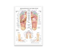 KUBAPIG Réflexologie des pieds - Diagramme d'anatomie - Peinture sur toile imprimée - Décoration murale pour la maison - Éducation médicale - Images murales (16 x 24 (40 x 60 cm), sans cadre)