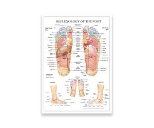 KUBAPIG Réflexologie des pieds - Diagramme d'anatomie - Peinture sur toile imprimée - Décoration murale pour la maison - Éducation médicale - Images murales (20 x 30 (50 x 75 cm), sans cadre)