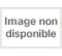 Kubelik - Rafael Kubelik [Import]