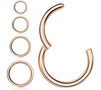 Kucheed 4 Pièces Anneaux de Nez Boucles D'oreilles, Acier Chirurgical 316L Articulé Cliqueur Segment Septum Anneau Hélice Cartilage Nez Lèvres Anneaux Piercing Bijoux,Boucles D'oreilles 18G-16G Tour