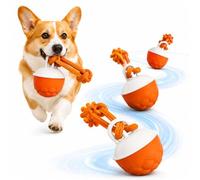 Kuchisity Lot de 3 balles interactives d'intelligence pour chien | Balle électrique pour chien avec corde, enroulement automatique avec LED et voix d'oiseaux, pour chiens de petite/moyenne