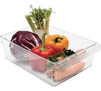 Rotho Loft Frigorifero Organizzatore, Plastique (SAN) senza BPA, Trasparente, L/5L 31,0 x 22,0 x 9,0 cm