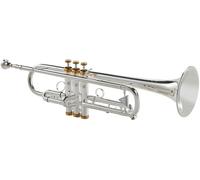 Kühnl & Hoyer Kühnl & Hoyer Spirit MAW Bb-Trumpet RL silv.