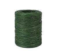 Kueohse 1,0 mm Fil de liaison floral vert Fil de fer fait à la main Papier rotin pour fleurs, bouquets (longueur : 210 m)