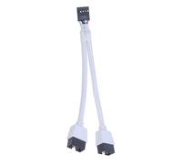 Kueohse 1 Pièce Câble D'Extension Audio HD Accessoires de Remplacement pour PC Bricolage 15 cm Ordinateur Carte Mère Câble D'Extension USB 9 Broches 1 à 2 Mâle Répartiteur en Y