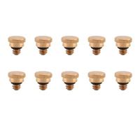 Kueohse 10 PièCes 10/24 Filetage Laiton Brumisation Buse Bouchon Basse Pression Atomisation Buse de Brouillard pour SystèMe de Refroidissement ExtéRieur