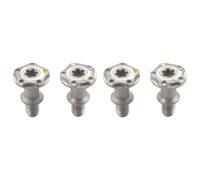 Kueohse 4 Pièces Séries Poids de Vis de Poids de Golf Multi Grammes pour R7 R9 R11 R11S R1 Tournevis de Poids de Golf, 4G