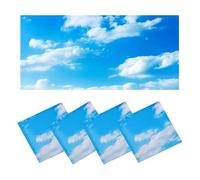 Kueohse 4pcs Couvre la Lumière Fluorescente Filtres de Lumière Magnétique pour la Salle de Classe, Le Bureau, Les Hôpitaux, Le Bleu de