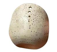 Kueohse Distributeur D'Herbes Fait Main avec Séparateur D'Herbes et Différentes Tailles de Trous.