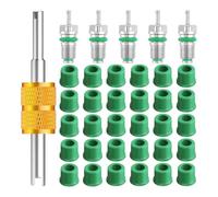 Kueohse Kit de Joints de Tuyau de Charge R134a 36 Pièces 1/4 Pouce Accessoires de Noyau de Valve de Climatiseur Comprend 30 Joints de Tuyau de Valve