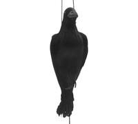 Kueohse Leurre réaliste pour corbeaux morts, grandeur nature, extra large, corbeau à plumes noir