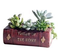 Kueohse Livre de Littérature de Style Rétro Pot de Fleurs Succulentes Résine Jardinière de Livre Réaliste Résistant Aux UV Jardinière de Plantes Jardin