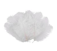 Kueohse Lot de 10 plumes d'autruche naturelles blanches 20-25 cm pour mariage DIY