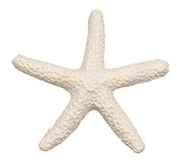 Kueohse Lot de 15 crayons blancs laiteux doigts étoile de mer pour décoration intérieure et projet