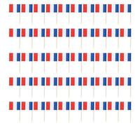 Kueohse Lot de 50 mini cure-dents avec drapeau pour pâtisseries aux fruits de fête - France (bleu, rouge)