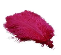 Kueohse Plumes d'autruche, représentations sur scène, et décorations faits à la main en rouge rose