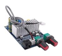 Kueohse Tpa3116 Carte Amplificateur de Subwoofer 100 W Sortie Basse Dc12-24V Petits Amplificateurs de Puissance Numériques Accessoires Audio Vidéo