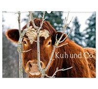 Kuh und Co. (Wandkalender 2026 DIN A3 quer), CALVENDO Monatskalender: Hausrinder sind die Lieblingstiere vieler Menschen.
