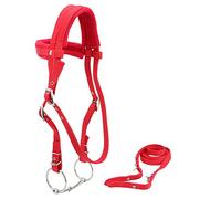 KUIDAMOS Harnais de Tête de Cheval Rouge Durable avec Mors de Filet Amovible, adapté aux Amateurs de Chevaux, Haute densité et Forte Résistance à la Traction