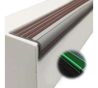 KUKIXKK Nez de Marche antidérapants, Bandes phosphorescentes, Bandes de Protection en PVC pour marches d'extérieur, faciles à Installer(Brown,L 70in/1.77m)