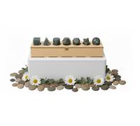 KULIA - Coffret de 7 pierres en labradorite taillées en solides de Platon avec boîte de géométrie sacrée