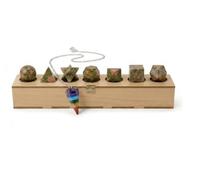 KULIA® Coffret de 7 Pierres Roulées en Cristal dans une Boîte en Bois Solides de Platon et Symboles Reiki Géométrie Sacrée Pendule Chakra Feng Shui Unakite