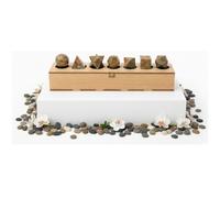 KULIA Coffret Solides de Platon 7 pièces Géométrie Sacrée Boîte Décorative Boîte de Rangement en Bois Sculptée à la Main Feng Shui Unakite Pierre de Platon Symbole Reiki Porte-bonheur Pierres Chakra