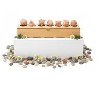 KULIA Coffret Solides de Platon 7 pièces Géométrie Sacrée Boîte en Bois Sculptée à la Main Décoration Feng Shui Pierre de Soleil Cristal Naturel Décoration Intérieure Porte-bonheur Pierres