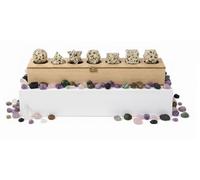 KULIA Coffret Solides de Platon 7 pièces Géométrie Sacrée Coffret en bois sculpté à la main Feng Shui Cristal dalmatien Porte-bonheur Pierres des chakras Cadeaux spirituels