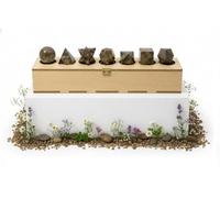 KULIA® Pierres des Solides de Platon (Lot de 7) avec Géométrie Sacrée Boîte en Bois Sculptée à la Main Rangement Décoratif Feng Shui Pierres Naturelles en Quartz Fumé, Tour de Cristal Porte-Bonheur