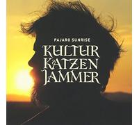Kulturkatzenjammer [Import allemand]