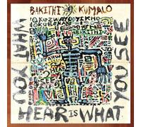 Kumalo,Bakithi - Hear is What You See [Import]