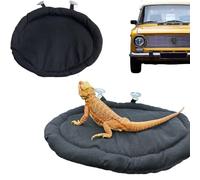 KUNBIUH Tapis de lit motif dragon barbu, tapis pour lit de couchage en forme de lézard adsorbé sur bocal en verre, coussin lavable pour voyage, accessoires de transport pour petits animaux, lézard,