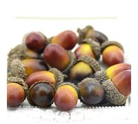 KUNGZUNMOLDS Fruits artificiels pour la décoration, lot de 20 mini glands artificiels en mousse, fruits et légumes, pour la maison, un mariage, un sapin de Noël