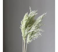 KUNGZUNMOLDS Lot de 4 herbes de la pampa séchées naturelles et pelucheuses pour décoration d'intérieur, mariage, fête de mariage, décoration d'intérieur, accessoires photo, vert clair, 45 cm