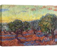 Kunstdruck auf Leinwand Vincent Van Gogh, Oliveraie, Saint-Rémy (Olivenhain) - 60x40 cm