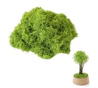 Kunstmoos 200g - Mousse Artificielle Réaliste pour Décoration Intérieure et Extérieure DIY Modélisme et Créations Florales