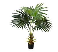 kunstpflanzen-discount.com Cycus Palmier avec tronc épais 60 cm - Petits palmiers artificiels décoratifs