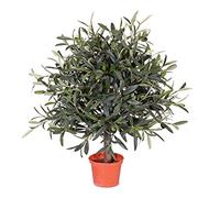 kunstpflanzen-discount.com Mini olivier artificiel avec fruits - 50 cm - Diamètre : 35 cm - 1040 feuilles et 18 olives