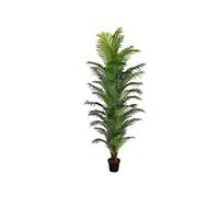 kunstpflanzen-Discount.COM Palmier Artificiel Areca 44 Troncs Hauteur env. 280 cm