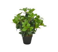 Kunstplant met pot laurierboom 40 cm groen280177