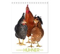 Kunterbunte Hühner Truppe (Tischkalender 2026 DIN A5 hoch), CALVENDO Monatskalender: Die Welt der Rassehühner ist herrlich bunt.