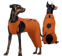 Kuoser Body pour chien après Op - Protection de castration pour mâles chiennes - Combinaison de loisirs - Alternative anti-léchage - Collier - Marron XL