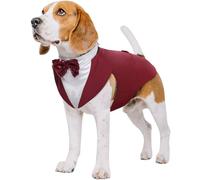 Kuoser Ensemble smoking et bandana pour chien, vêtements pour animaux de compagnie, manteau pour chien avec nœud papillon amovible, chemise chiot pour mariage, Halloween, fête d'anniversaire, S-XXL